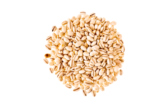 BARLEY SEEDS