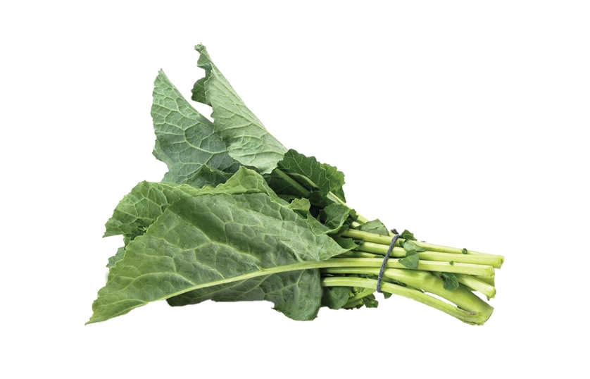 CABBAGE  LEAVES