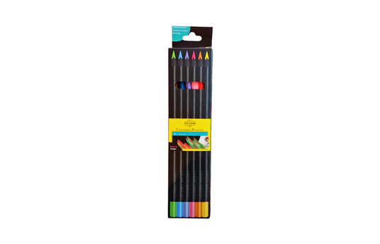 COLOURED PENCILS - 6