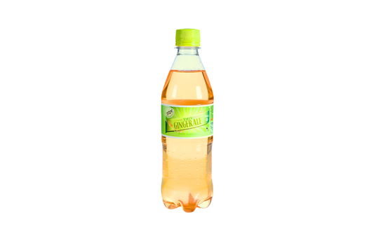 ELEPHATE HOUSE DRY GINGERALE