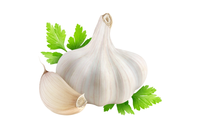 GARLIC
