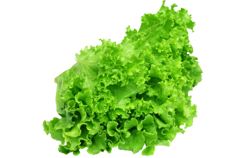 LETTUCE