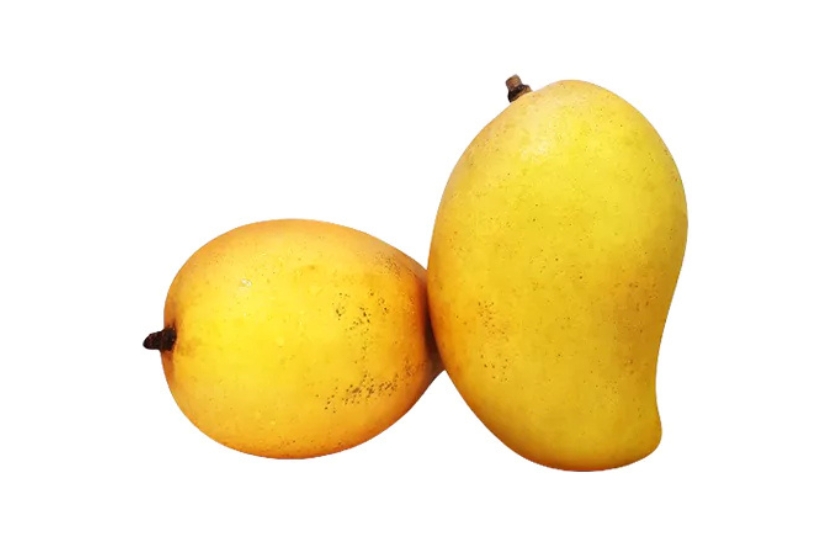 ALPHONSO MANGO 