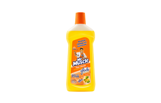 MR MUSCLE FLOOR CLEANER 500ML