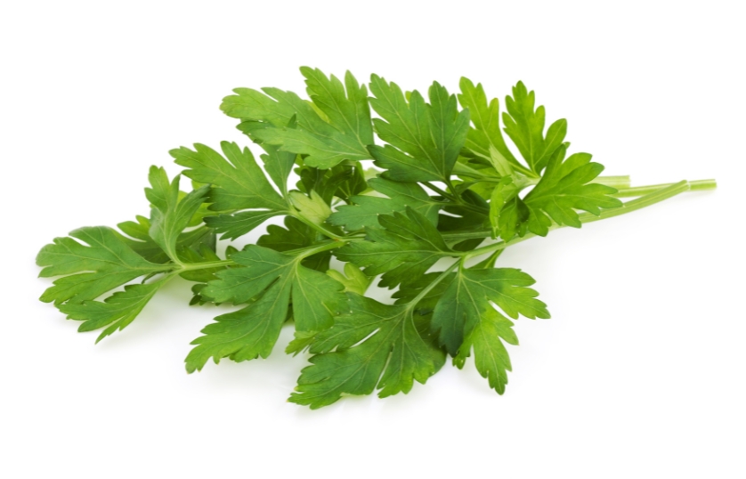 PARSLY