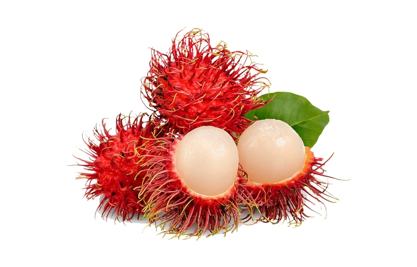 RAMBUTAN