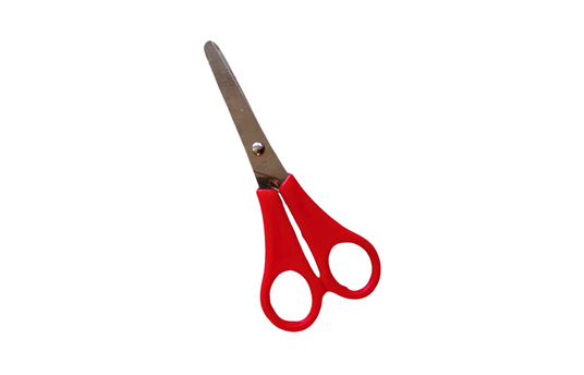 TIN HAO SMALL SCISSOR